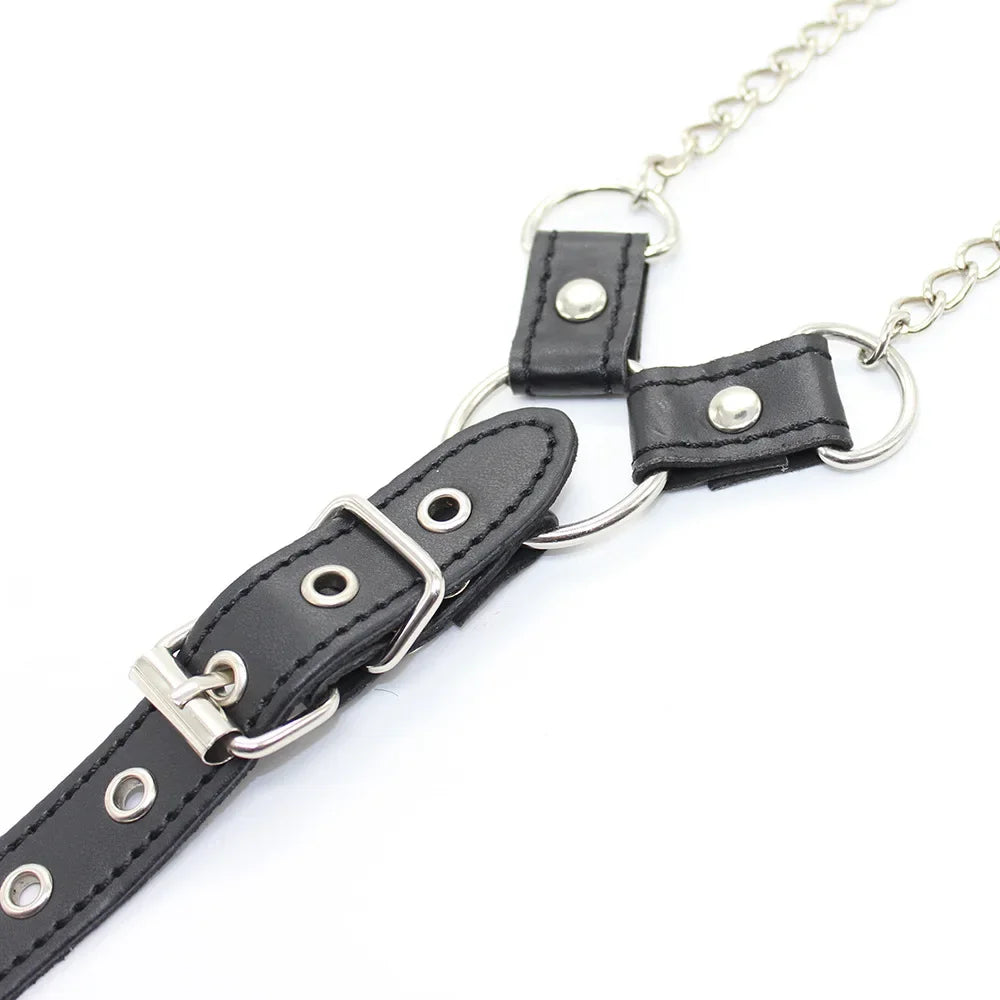 Chain Authority Harness