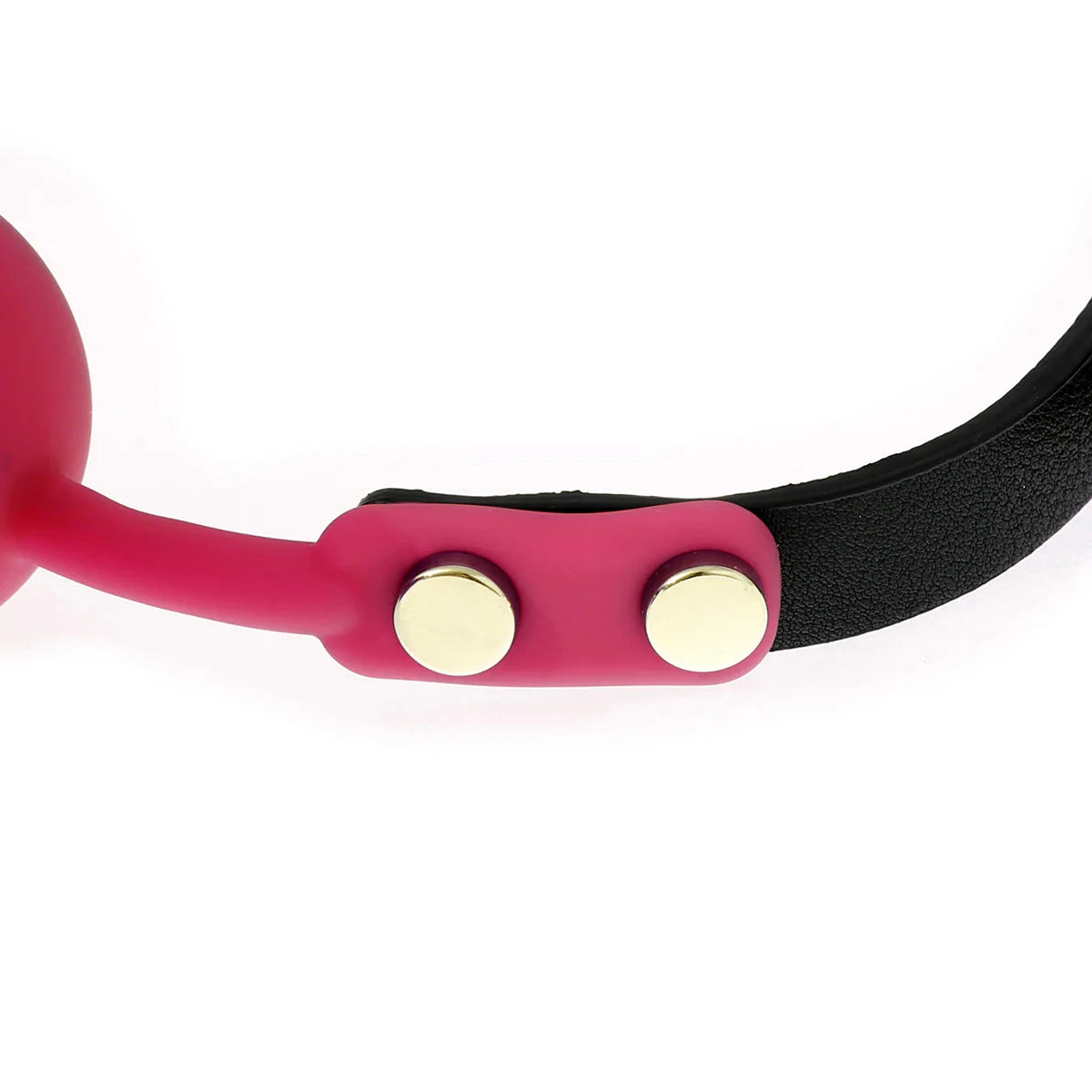 Thorns & Promises Collar