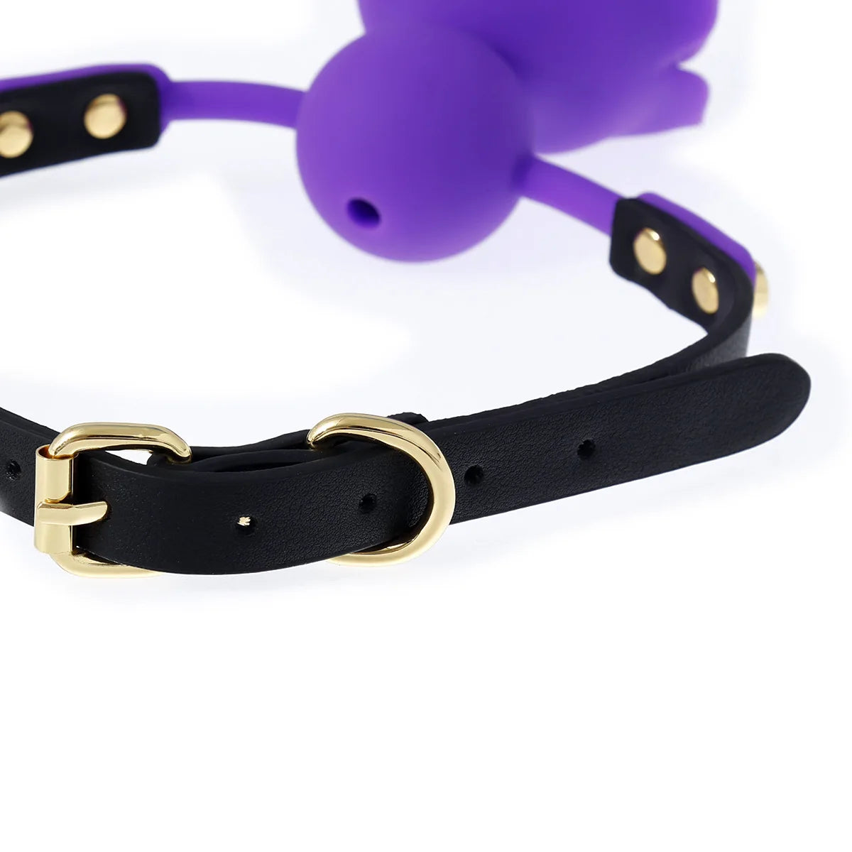 Thorns & Promises Collar