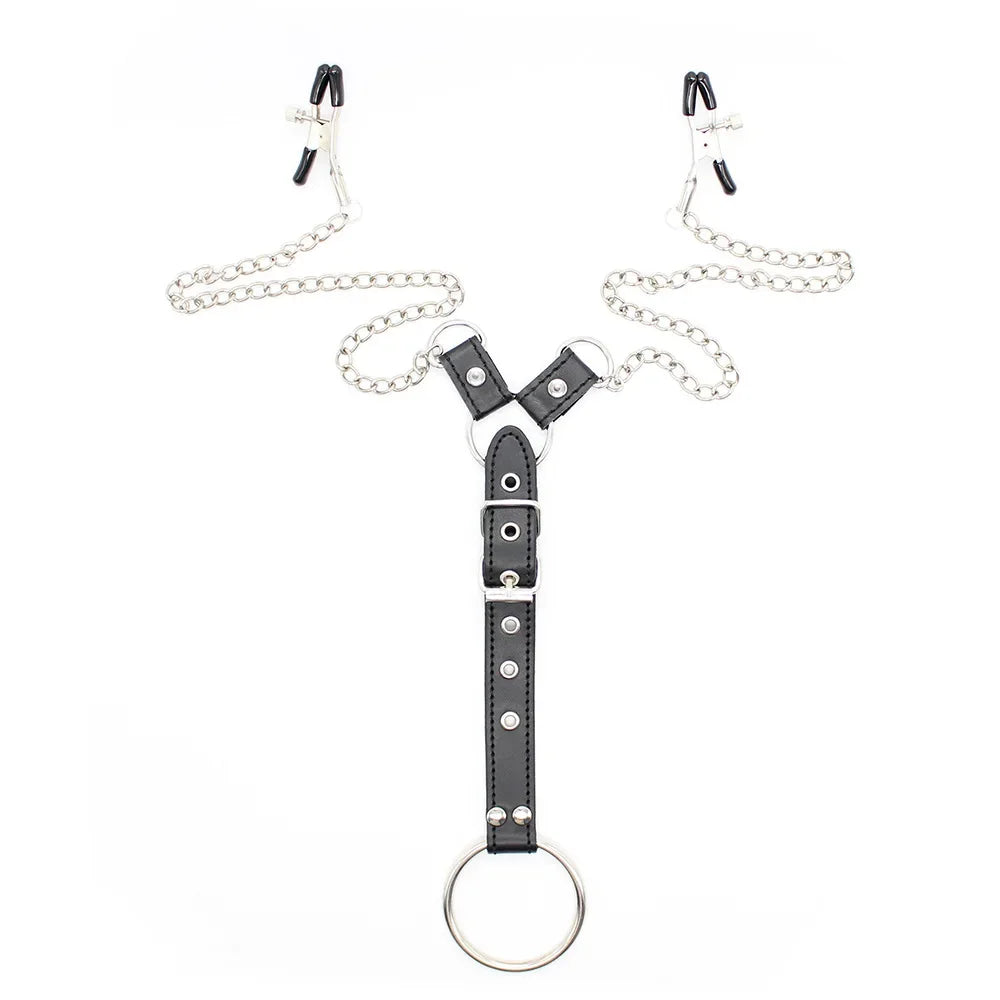 Chain Authority Harness