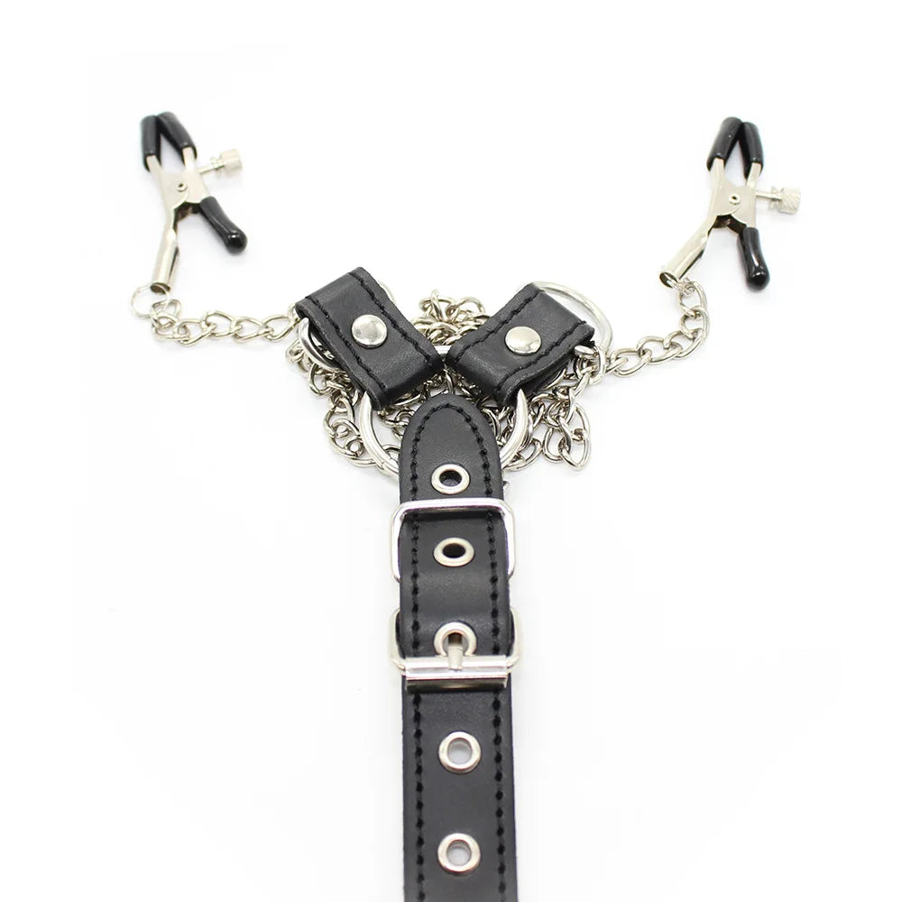 Chain Authority Harness
