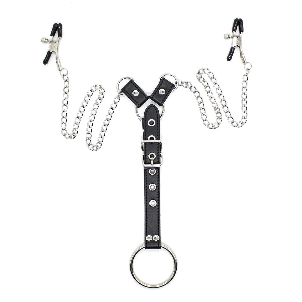 Chain Authority Harness