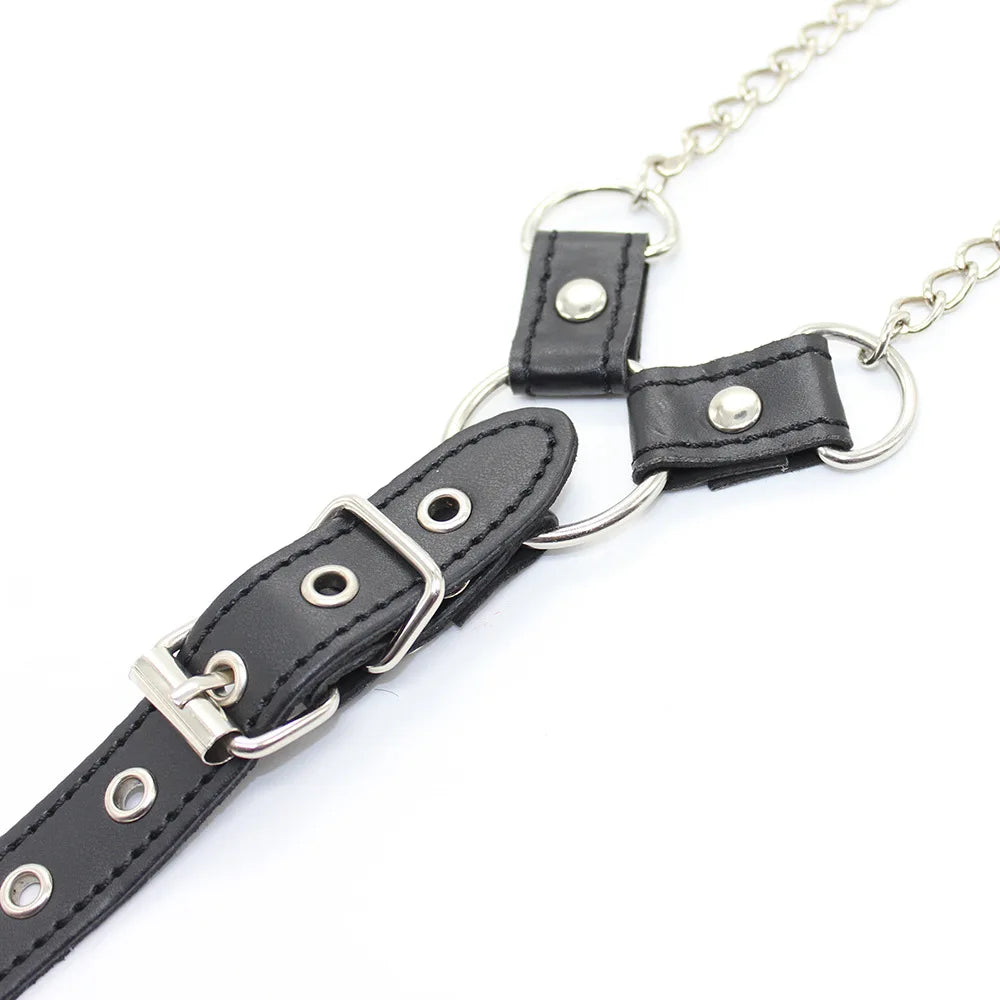 Chain Authority Harness