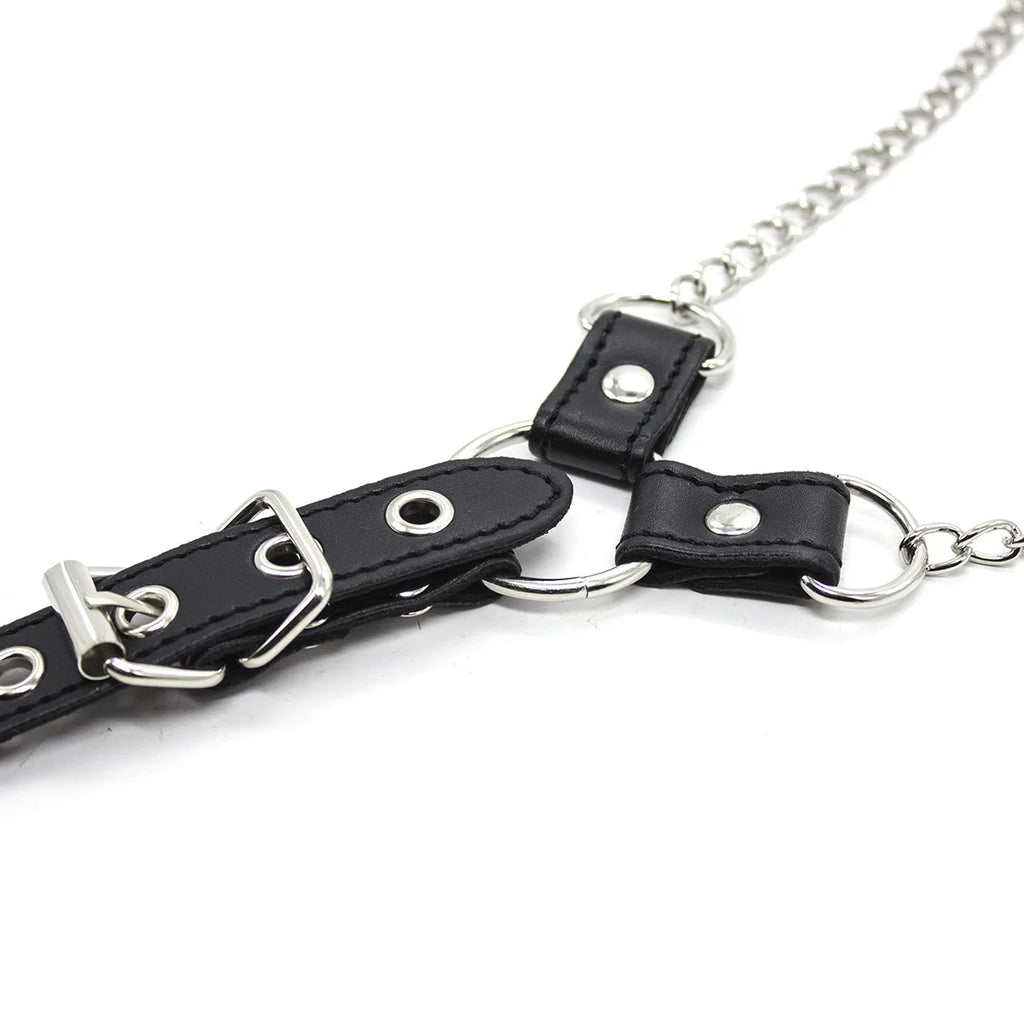 Chain Authority Harness