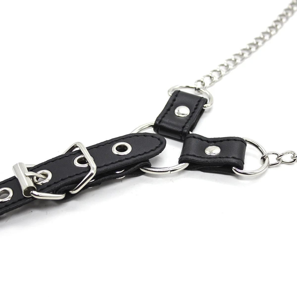 Chain Authority Harness
