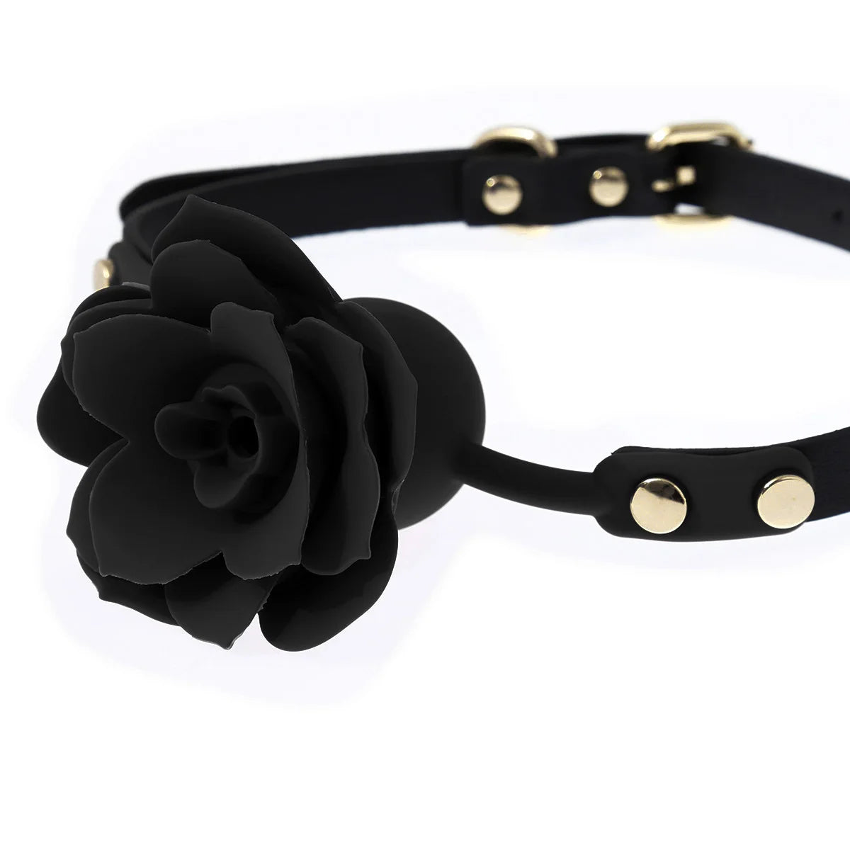 Thorns & Promises Collar