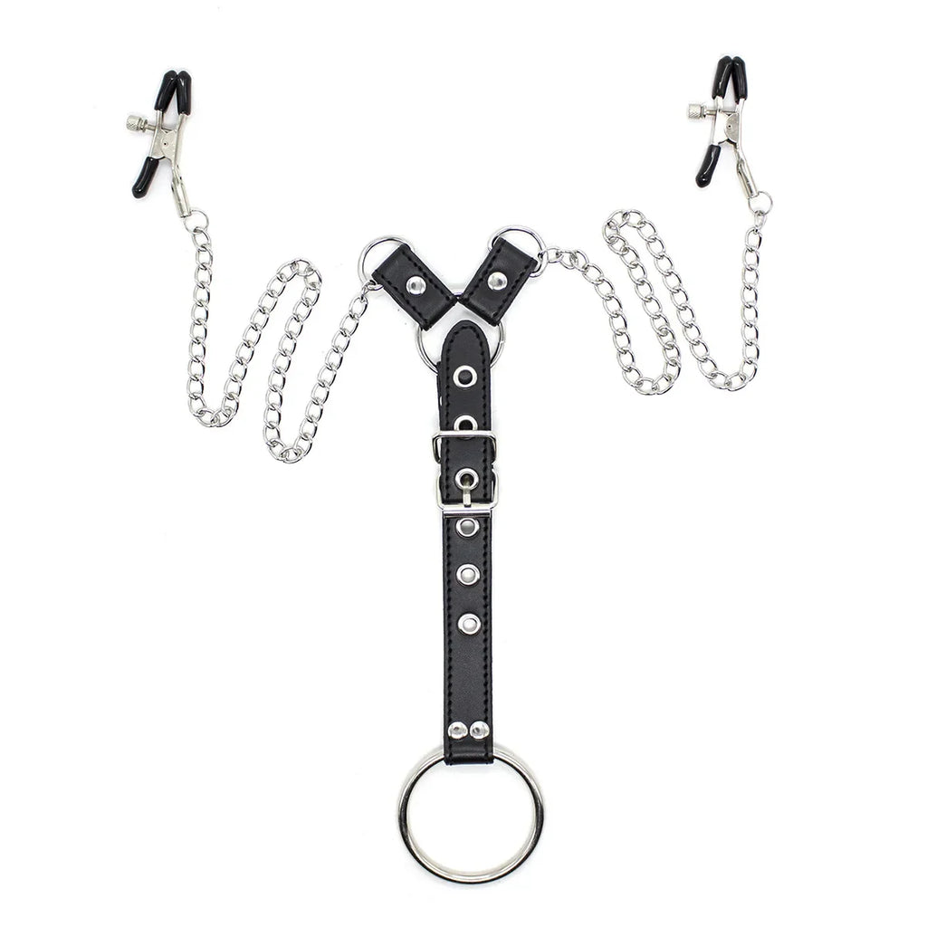 Chain Authority Harness