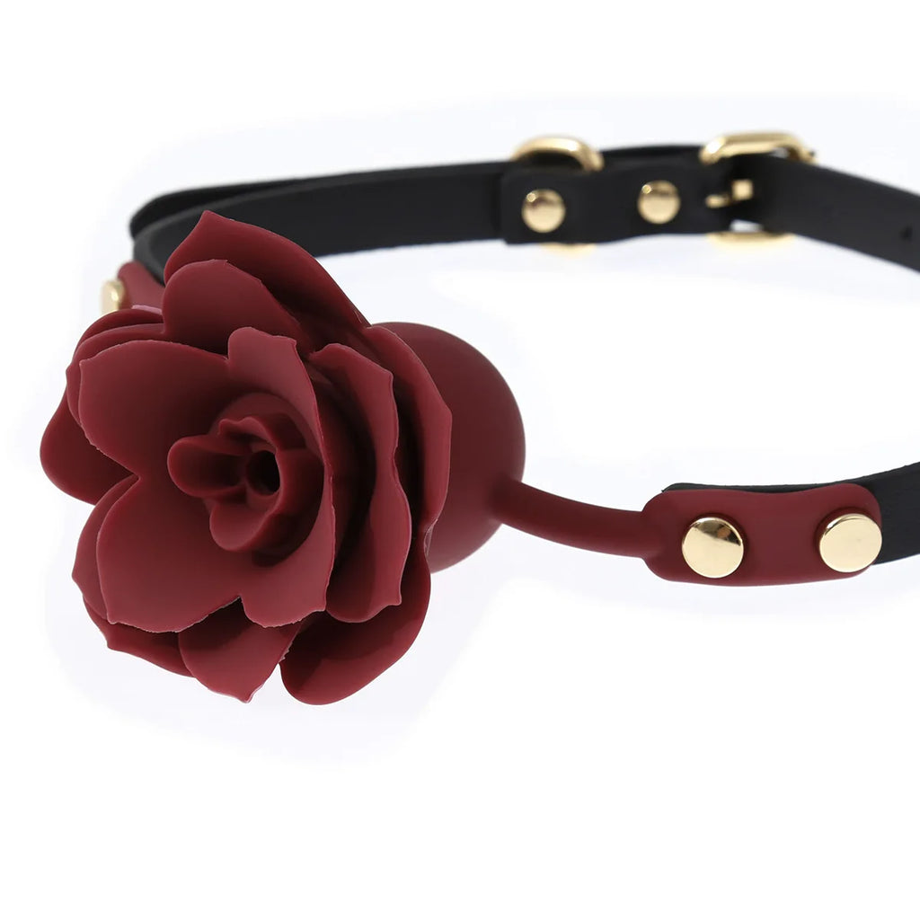 Thorns & Promises Collar