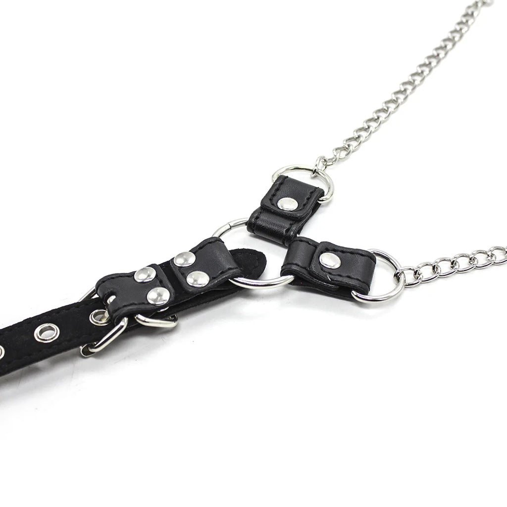 Chain Authority Harness