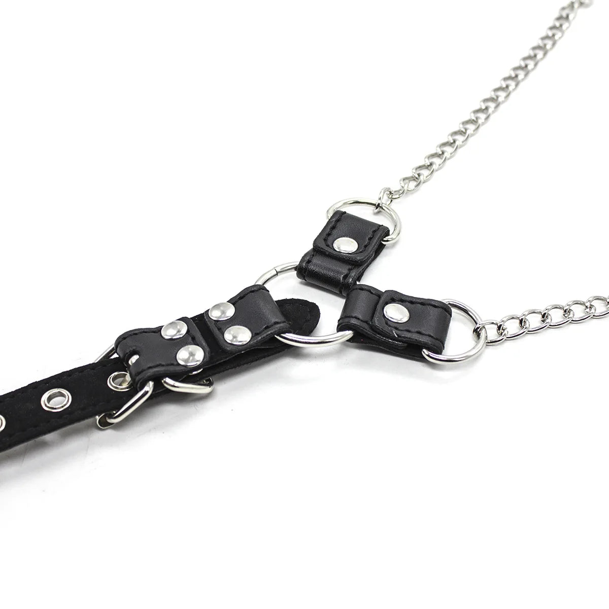 Chain Authority Harness